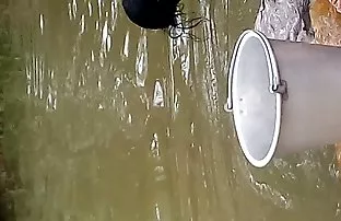 XXX Để vợ ông, xin vui lòng với thủ