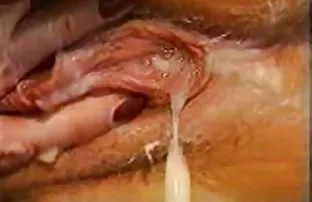 XXX Thưởng thức
