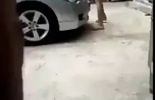 XXX Đòn với một vành đai và đi xuống vào âm đạo