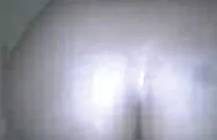 XXX Dễ thương chó chụp gần cô gái