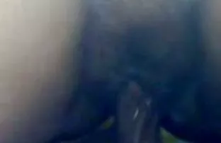 XXX Pycnopodia vợ